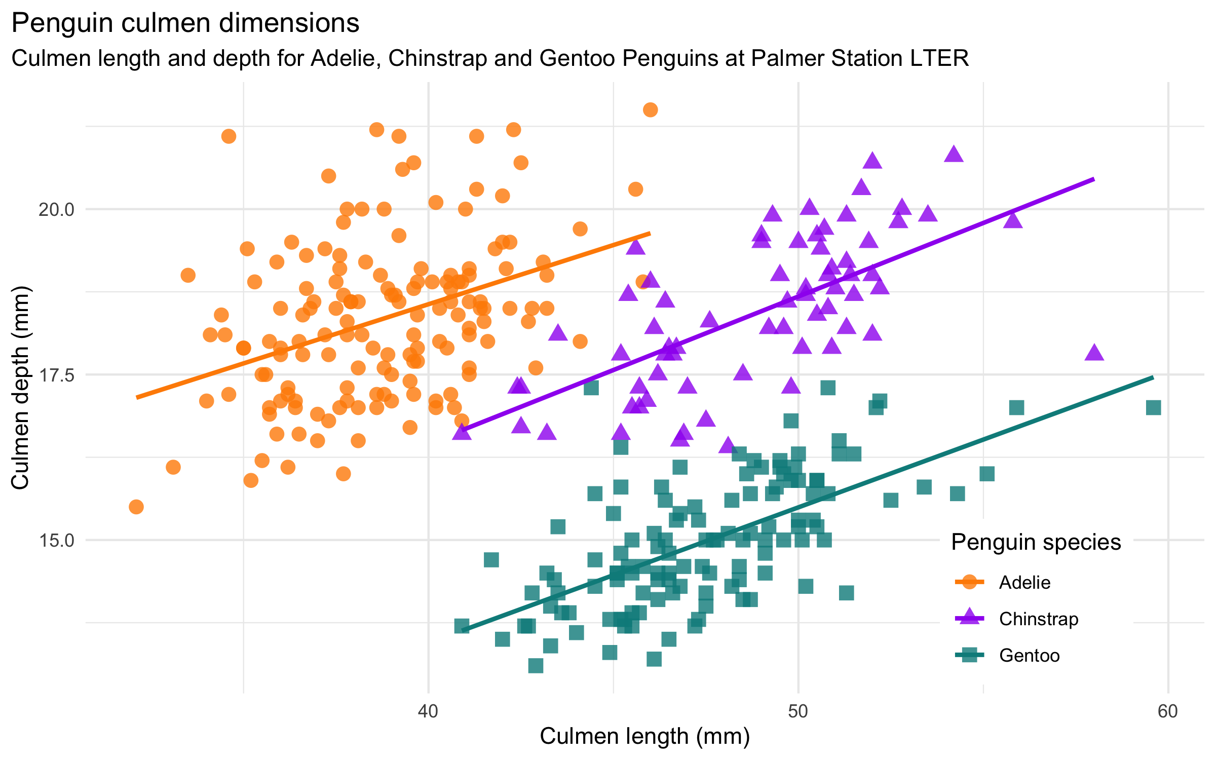 Scatterplot of culmen length and depth clustered by species
