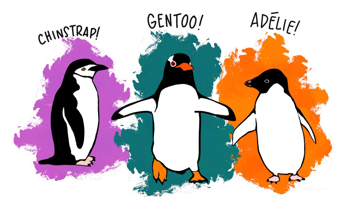 Penguins cartoon to illustrate the penguins data set